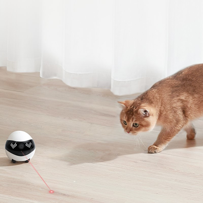 Laser interactiv pentru animale de companie